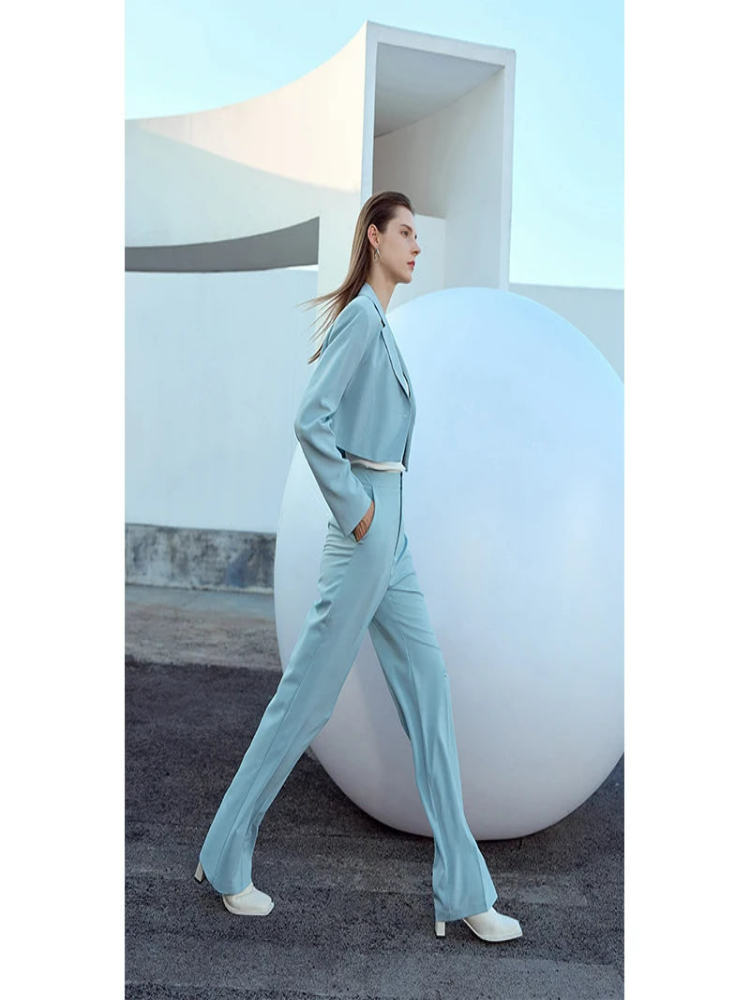 Minimalist Suit Casual Pants for Women ,Spring, Autumn New Loose Drag Straight Simple Basics Commuter Female Trousers, 71 427 321 893, 888 912 818848,   light grayish blue