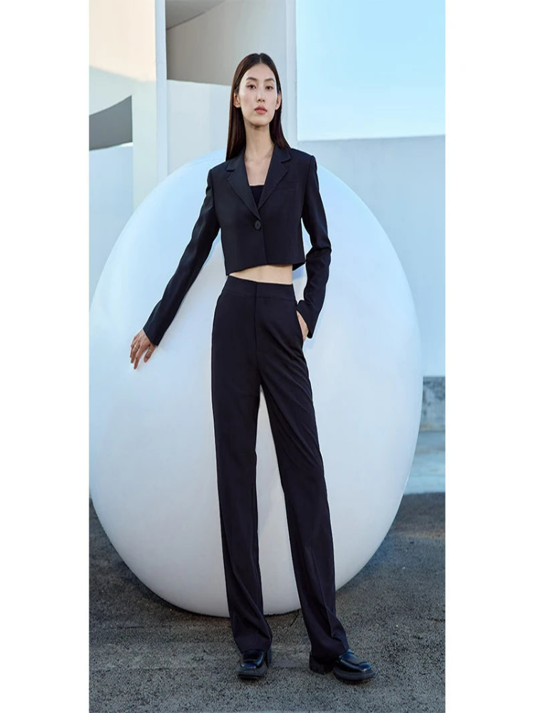 Minimalist Suit Casual Pants for Women ,Spring, Autumn New Loose Drag Straight Simple Basics Commuter Female Trousers, 71 427 321 893, 888 912 818848, black